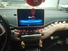 BYD Seagull Honor Edition 405km Flying Edition - ფოტო 17
