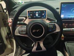 BYD Seagull Honor Edition 405km Flying Edition - ფოტო 18