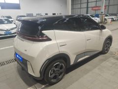 BYD Seagull Honor Edition 405km Flying Edition - ფოტო 2