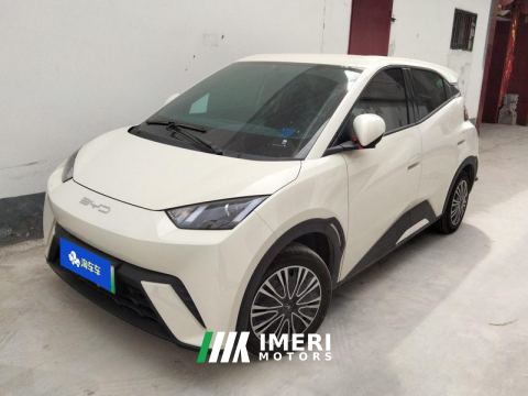 2023 BYD Seagull 305km Vitality Edition - ავტომობილი ჩინეთიდან