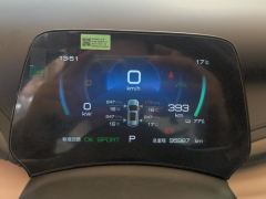BYD Yuan PLUS Champion Edition 510km Elite Edition - photo 20