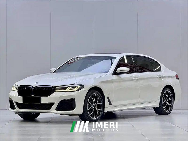 BMW 5 Series 530Li xDrive Luxury Edition