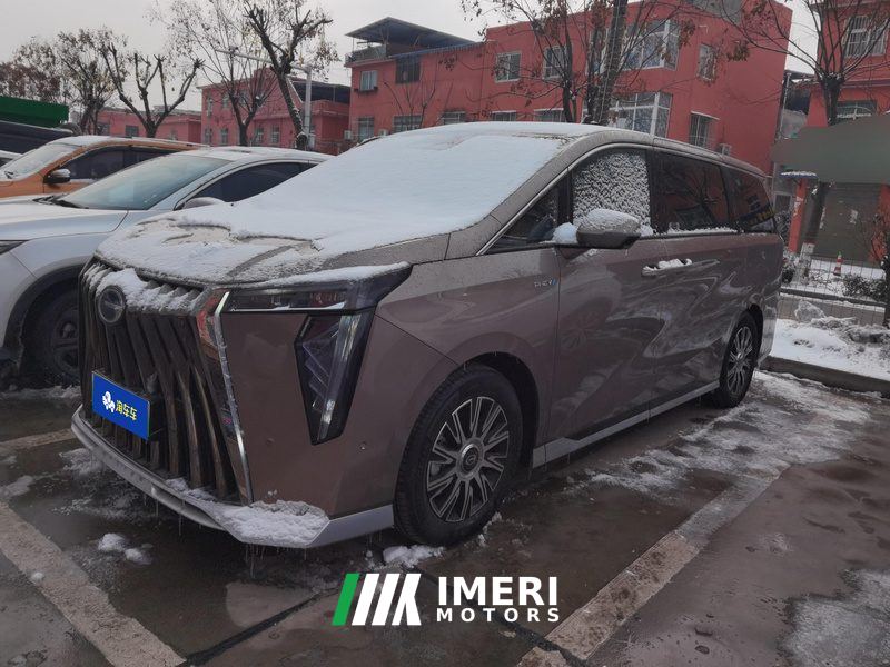 GAC Trumpchi E9 2.0T 136km Master