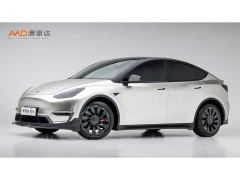 Tesla Model Y Standard Range RWD - photo 1