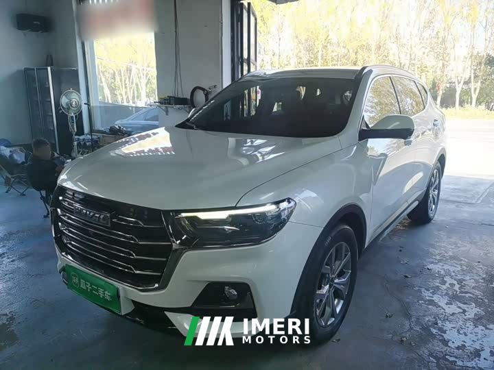 Haval H6 National Trend 1.5T Automatic Champion Edition