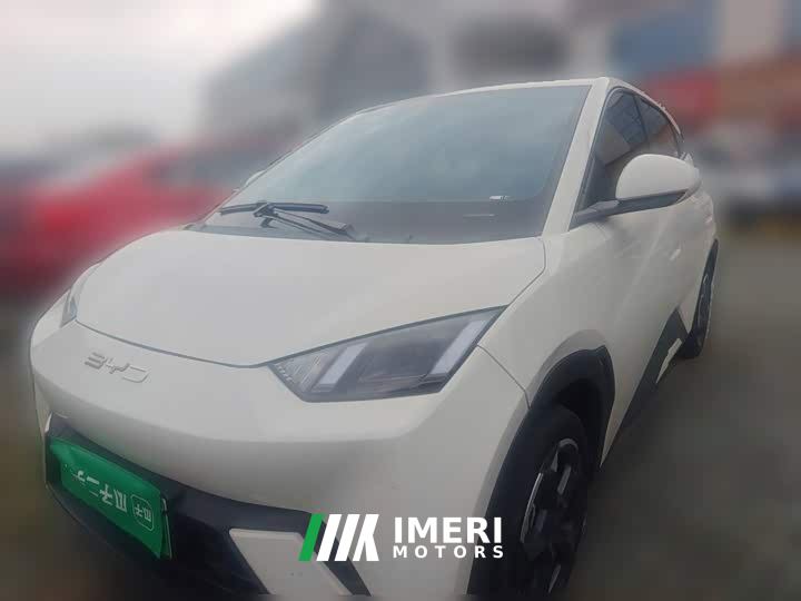 BYD Seagull Freedom Edition - ავტომობილი ჩინეთიდან