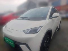 BYD Seagull Freedom Edition - ფოტო 1