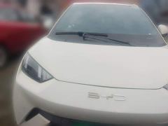 BYD Seagull Freedom Edition - ფოტო 2