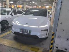 Tesla Model Y Long Range All-Wheel Drive - ფოტო 1