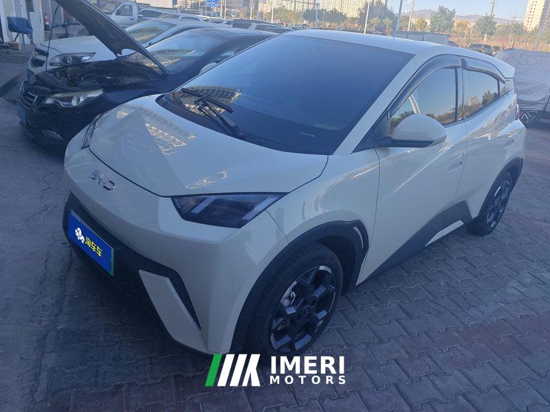 BYD Seagull 405km Flying Edition - car from China