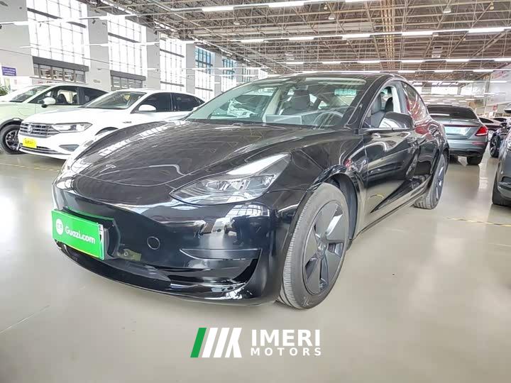 Tesla Model 3 Rear-Wheel Drive - car from China