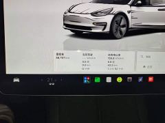 Tesla Model 3 Rear-Wheel Drive - photo 11