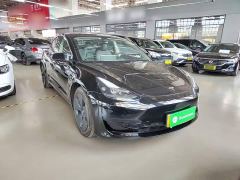 Tesla Model 3 Rear-Wheel Drive - photo 3