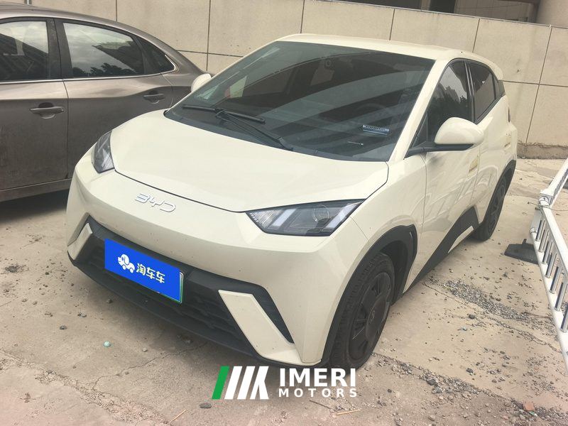 BYD Seagull 305km Vitality Edition - ავტომობილი ჩინეთიდან