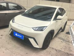 BYD Seagull 305km Vitality Edition - ფოტო 1