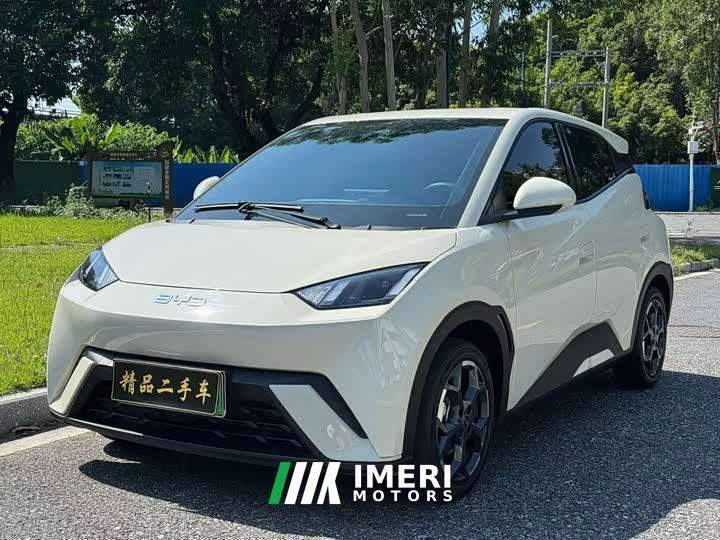 BYD Seagull Glory Edition 305km Vitality Version - ავტომობილი ჩინეთიდან