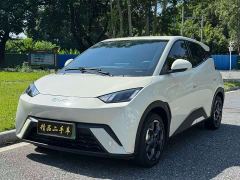 BYD Seagull Glory Edition 305km Vitality Version - ფოტო 1
