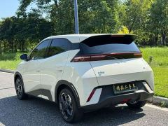 BYD Seagull Glory Edition 305km Vitality Version - ფოტო 14