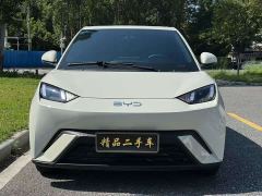 BYD Seagull Glory Edition 305km Vitality Version - ფოტო 2