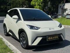 BYD Seagull Glory Edition 305km Vitality Version - ფოტო 3