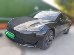 Tesla Model 3 Rear-Wheel Drive - ფოტო 1
