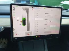 Tesla Model 3 Rear-Wheel Drive - ფოტო 12