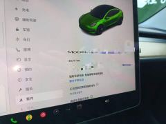 Tesla Model 3 Rear-Wheel Drive - ფოტო 13