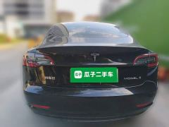 Tesla Model 3 Rear-Wheel Drive - ფოტო 5