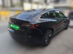 Tesla Model 3 Rear-Wheel Drive - ფოტო 6