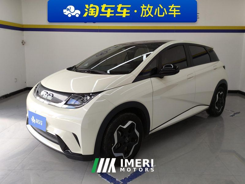 BYD Dolphin 405km Stylish Edition - car from China