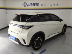 BYD Dolphin 405km Stylish Edition - photo 2