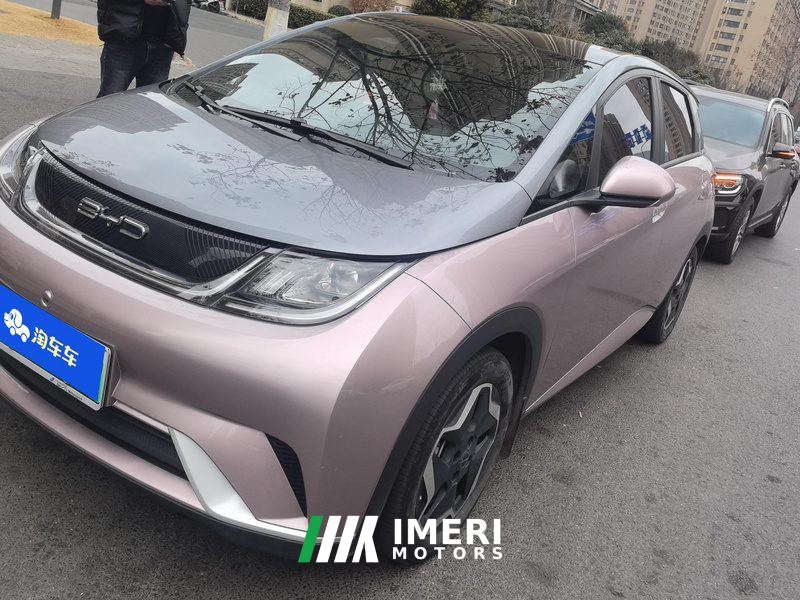 BYD Dolphin 405km Stylish Edition - car from China
