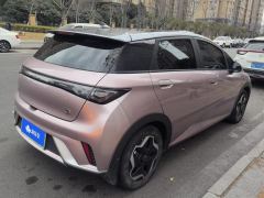 BYD Dolphin 405km Stylish Edition - photo 2