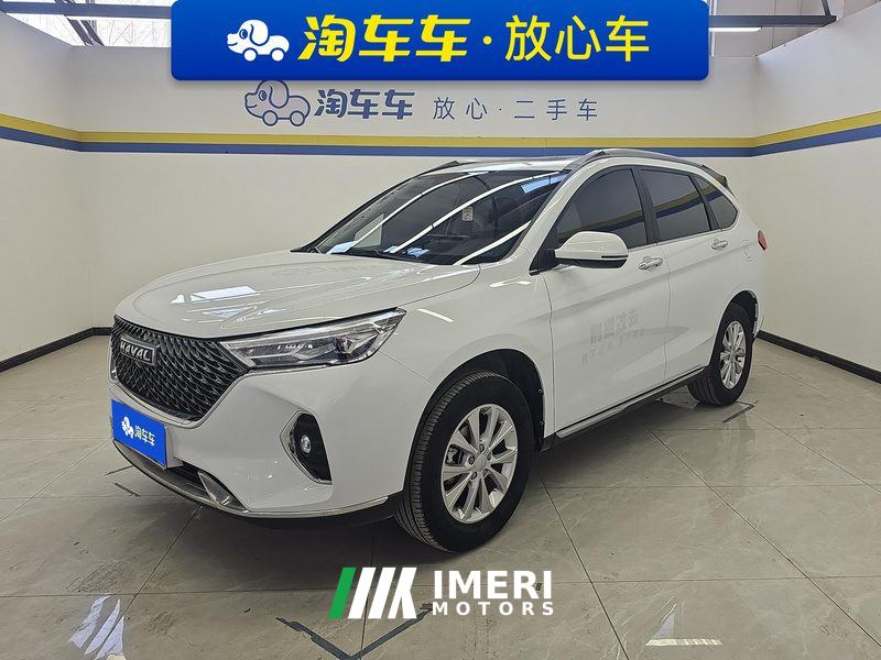 Haval M6 PLUS 1.5T Luxury Version - car from China