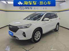 Haval M6 PLUS 1.5T Luxury Version - photo 1