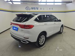 Haval M6 PLUS 1.5T Luxury Version - photo 2