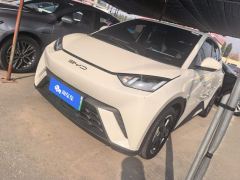 BYD Seagull 305km Free Version - ფოტო 1