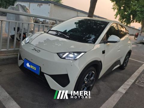2025 BYD Seagull Smart Driving Edition 305km Free Version - ავტომობილი ჩინეთიდან