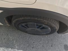 BYD Seagull Honor Edition 305km Vitality Edition - photo 6