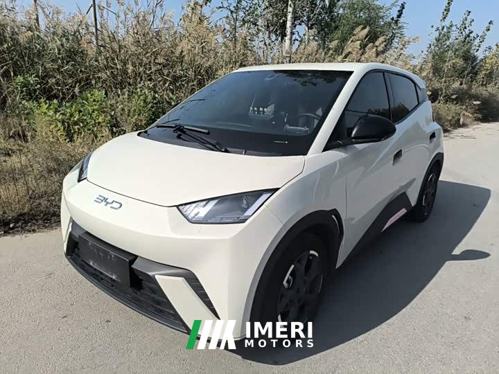 BYD Seagull 305km Freedom Edition - ავტომობილი ჩინეთიდან