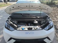 BYD Seagull 305km Freedom Edition - ფოტო 19
