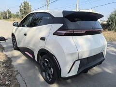 BYD Seagull 305km Freedom Edition - ფოტო 4