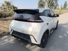 BYD Seagull 305km Freedom Edition - ფოტო 6