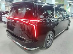 Maxus 9 Long Range Edition - ფოტო 6