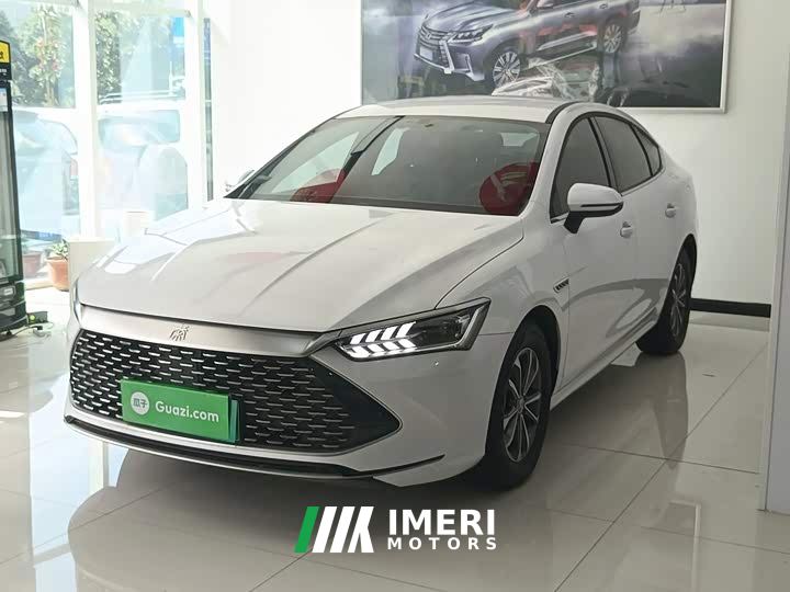 BYD Qin PLUS Glory Edition DM-i 55KM Leading