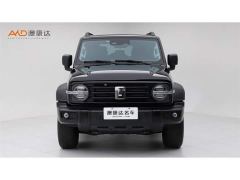 Tank 300 Off-Road Edition 2.0T Conqueror - ფოტო 2