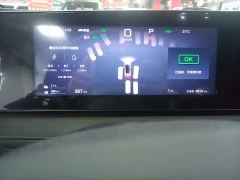 BYD Sealion 06 DM-i 205 Pilot Pro - ფოტო 11