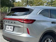 Haval H6 1.5T RWD Classic Edition - ფოტო 17