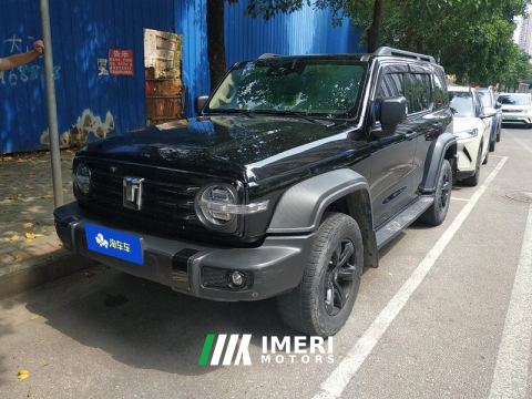 2021 Tank 300 Off-Road Edition 2.0T Conqueror - ავტომობილი ჩინეთიდან