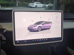 Tesla Model 3 556km Rear-Wheel Drive Edition - photo 20